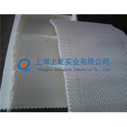 進(jìn)口食品級輸送網(wǎng)帶 食品級模塊輸送帶
