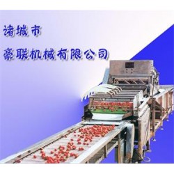 供應(yīng)胡蘿卜清洗機(jī)、白蘿卜清洗機(jī)