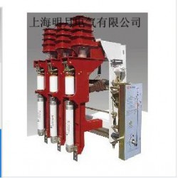 質(zhì)量好的FZN25-12高壓負(fù)荷開關(guān)溫州口碑好的公司供應(yīng)