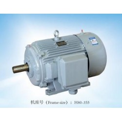 專業(yè)的閥門電機(jī)，哪里可以買到精湛的YE2系列三相異步電動(dòng)機(jī)
