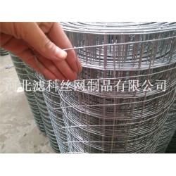 全球領(lǐng)導(dǎo)品牌¤廠家濾科供應(yīng)優(yōu)質(zhì)不銹鋼鋼筋電焊網(wǎng)，價格也不