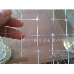 人氣新品，誠意來襲★雙向拉伸塑料網(wǎng)