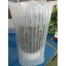 廣州小盆栽快遞充氣保護(hù)袋，緩沖氣袋