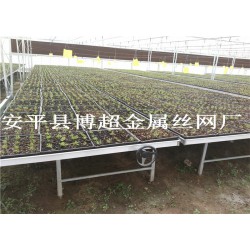 河北全新移動(dòng)苗床，大棚育苗床