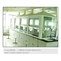 怎么買優(yōu)質(zhì)的實驗室通風(fēng)柜呢  ，南寧實驗室通風(fēng)柜