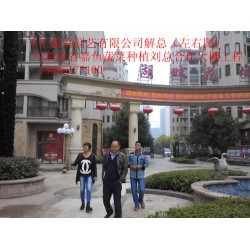 濰坊可信賴的蔬菜大棚建造公司，當屬千匯溫室——蔬菜大棚造價