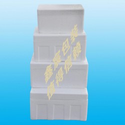 濰坊價格適中的蔬菜水果周轉(zhuǎn)泡沫箱供應_優(yōu)質(zhì)蔬菜水果周轉(zhuǎn)泡沫箱