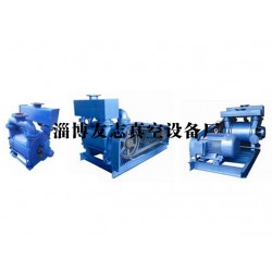 水環(huán)式真空泵供應(yīng)廠家【推*！友志】水環(huán)式真空泵