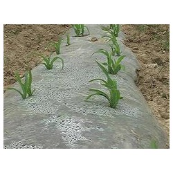 具有口碑的玉米地膜提供商，當(dāng)屬南寧市晟和興塑膠，貴州哪里有農(nóng)用地膜