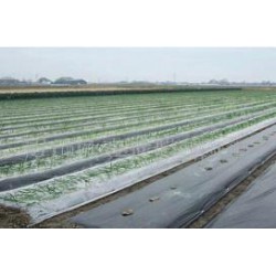 供應優(yōu)質(zhì)的除草地膜 質(zhì)量好的地膜