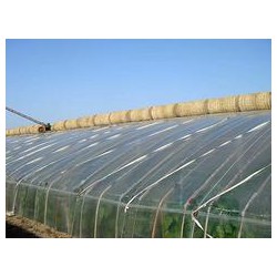 華盾塑料供應(yīng)優(yōu)良的壽光大棚膜，華盾大棚PO膜
