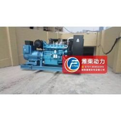 專業(yè)的濰柴動力博杜安發(fā)電機(jī)組廠家推*——好的濰柴動力