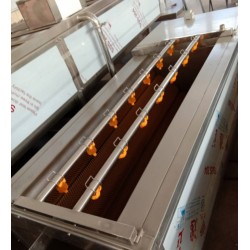 黃桃清洗機，黃桃罐頭加工全套設備