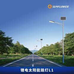 節(jié)能型鋰電智能8-10米50W太陽(yáng)能LED路燈L1廠家直銷