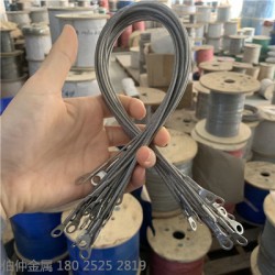 燈飾專用304不銹鋼鋼絲繩，吊燈繩，鋼絲繩鎖具，包膠鋼絲繩