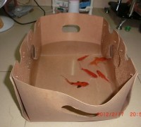 圳鴻防潮展示盒、防水魚蝦盒