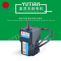 15瓦直流無(wú)刷電機(jī)，2BLD15-220GN-30S