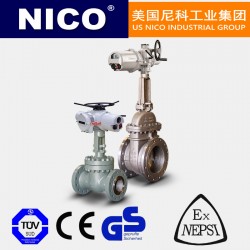 進口電動美標(biāo)閘閥