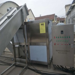 凍盤(pán)破碎機(jī) 破碎絞肉一體機(jī) 破碎提升生產(chǎn)線(xiàn)