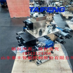 山東泰豐液壓供應(yīng)油壓機二通插裝閥YN32-315HGLBCV