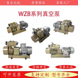 國(guó)產(chǎn)代替好利旺無油干式真空泵WZB